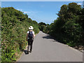 Road from Kuggar to Kennack Sands