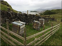 NM8745 : Beehives at Fennachrochan by Roy Smart