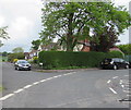 Fork in Grove Road, Lydney