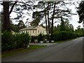 Virginia Water - House in Spring Woods