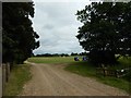 Polo Ground View from Footpath