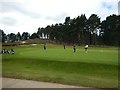 Golf Green at Sunningdale Golf Club