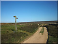 Track junction, Bulbeck Common