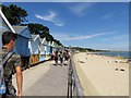 Beach huts by Avon Beach