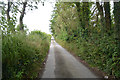 Cornwall : Country Lane