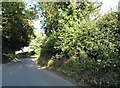 Gaddesden Lane near Holtsmere End