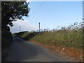 The road to Trowley Bottom