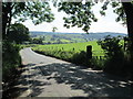 Beat Lane near Ryecroft Gate