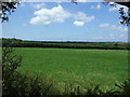 Grassland near Garras