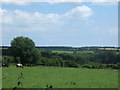 Grazing near Eathorne