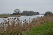 TL5997 : River Great Ouse by N Chadwick