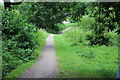 Footpath into Coed-Melin Park, Newport