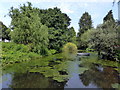 Lake at Beth Chatto Gardens