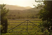 NC8804 : Field Gate at Badnellan, Sutherland by Andrew Tryon
