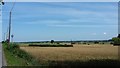 North from Clieves Hills Farm