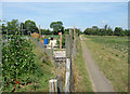 Path by the Allotments