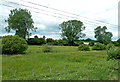 Fields Near Wymondham