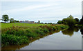 Canal and pasture south-east of Gauntons Bank, Cheshire