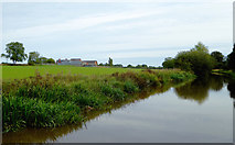 SJ5747 : Canal and pasture south-east of Gauntons Bank, Cheshire by Roger  D Kidd