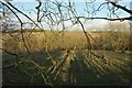 Farmland near Ferndown