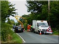 Hedge cutting action near Goldcliff