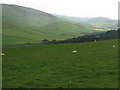 NT0534 : Pasture at Southside by M J Richardson