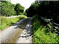 Bridge along Willmount Road