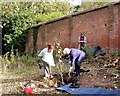 Planting a wild service tree at Pestalozzi