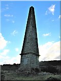 NX4871 : Murray's Monument, north-east of Newton Stewart by G Laird