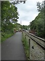 ST6670 : Bristol and Bath cycle path approaching Bitton station by David Smith