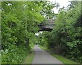 ST6773 : Dramway Footpath bridge by David Smith