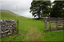 SD7771 : Dales High Way at Crummack by Ian S