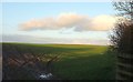 SS6323 : Grass field east of Eastacott Cross by Derek Harper