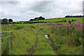 Footpath heading West from Broad Head Farm