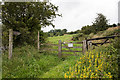 Bridleway leading to Whittonstall and Whittonstall Sproats