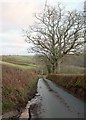 Lane to the Taw valley