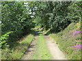 Track along Cheese Gate Nab