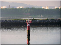 J3778 : Marker Pile Number 18 and RSPB Reserve, Belfast Harbour by David Dixon