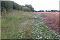 Bridleway to Astwell