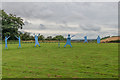 Cricket at Yorkshire Lavender