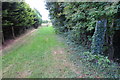 Footpath to Whitfield