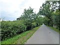 Bridleway to The Showground - Harrogate