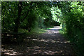 Path round Mercers Park lake