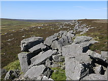 NY9628 : Rock outcrop on Monk's Moor by Mike Quinn