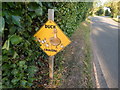 Duck(s) crossing sign