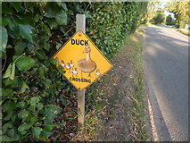 TM0944 : Duck(s) crossing sign by Hamish Griffin