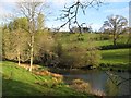 Lake near Cwm