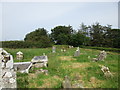 X1780 : The graveyard at Grange by Jonathan Thacker