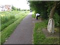 Canal towpath opposite Maidenbrook, passing Neptune