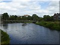 Weir on River Tone